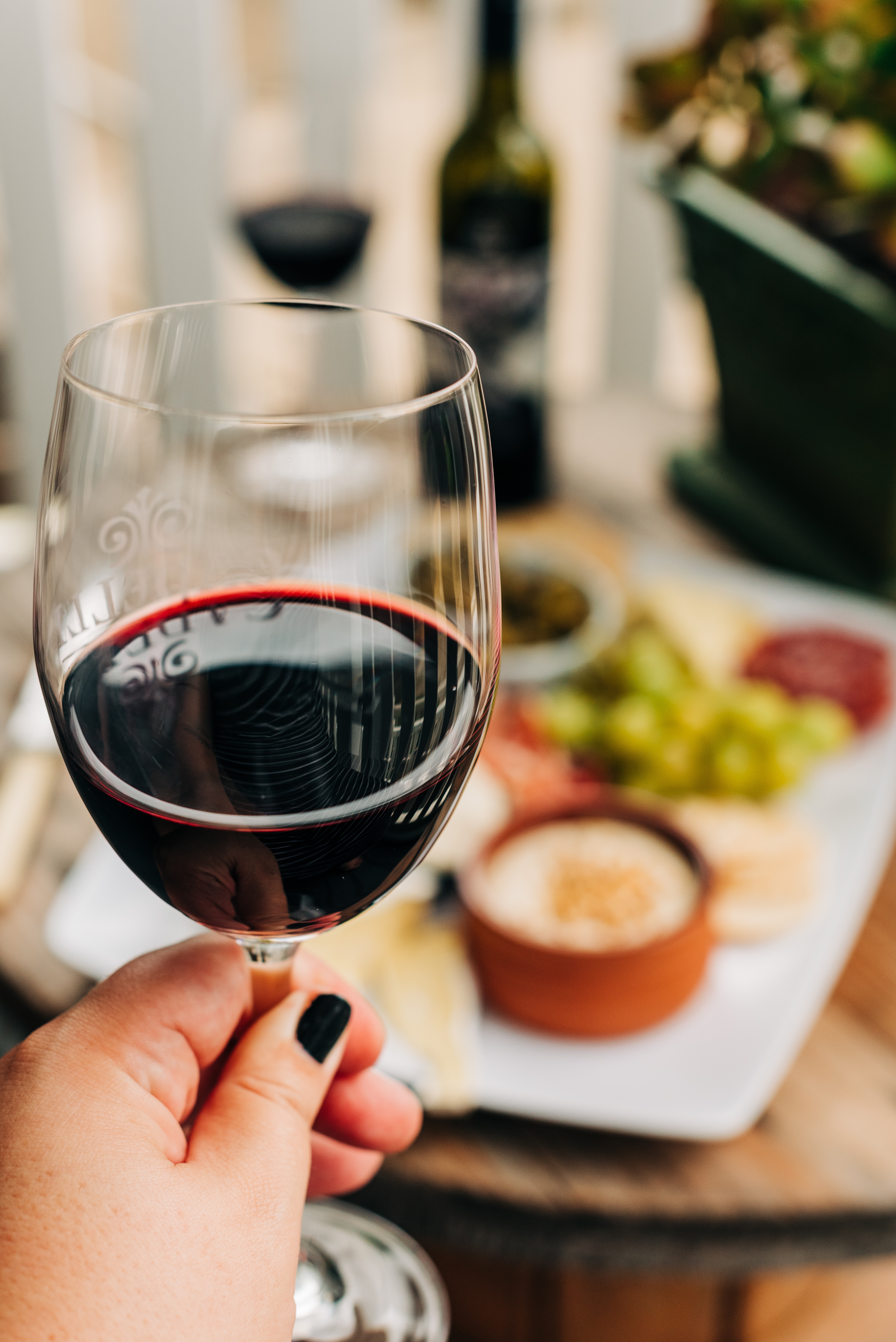 Copa de vino tinto y quesos de guarda en Suipacha Gourmet